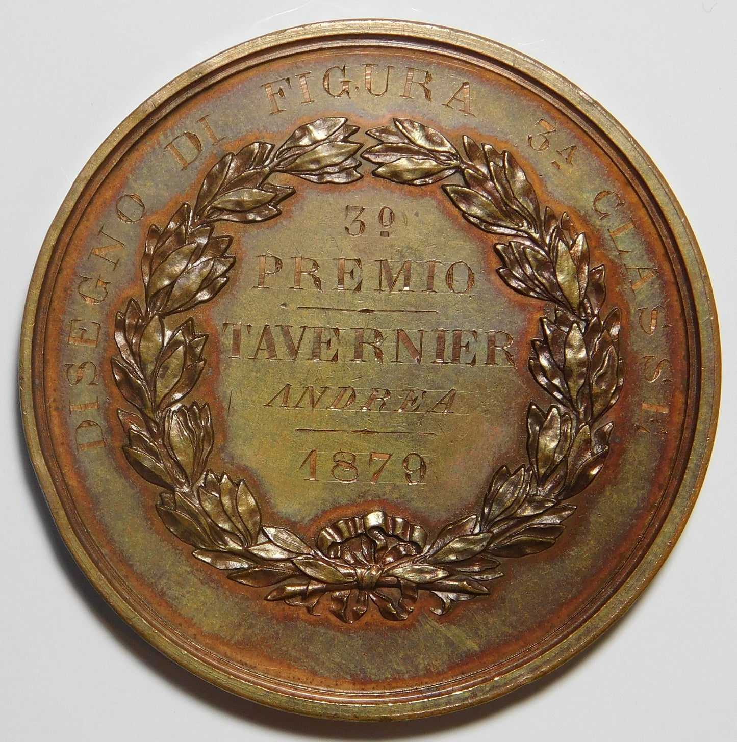 R. Accademia Albertina di Torino 1879