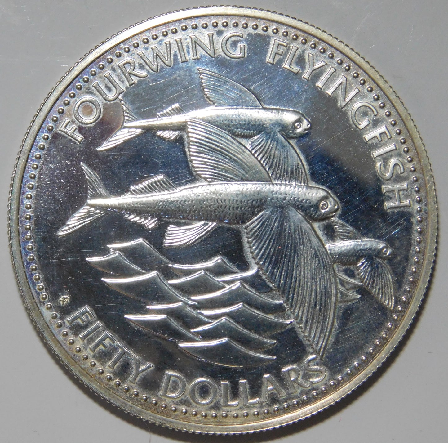 50 dollari 1984