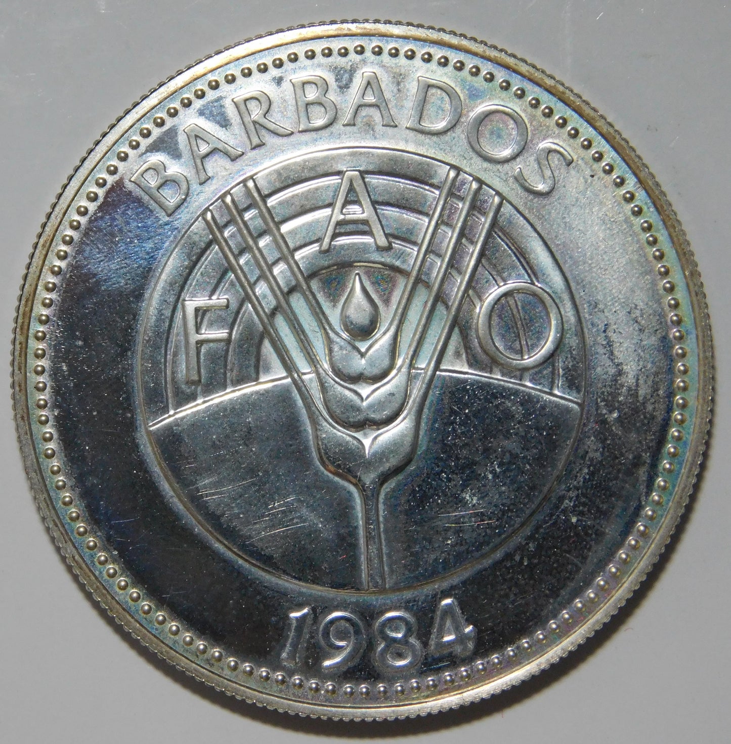 50 dollari 1984