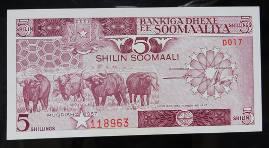 5 Scellini