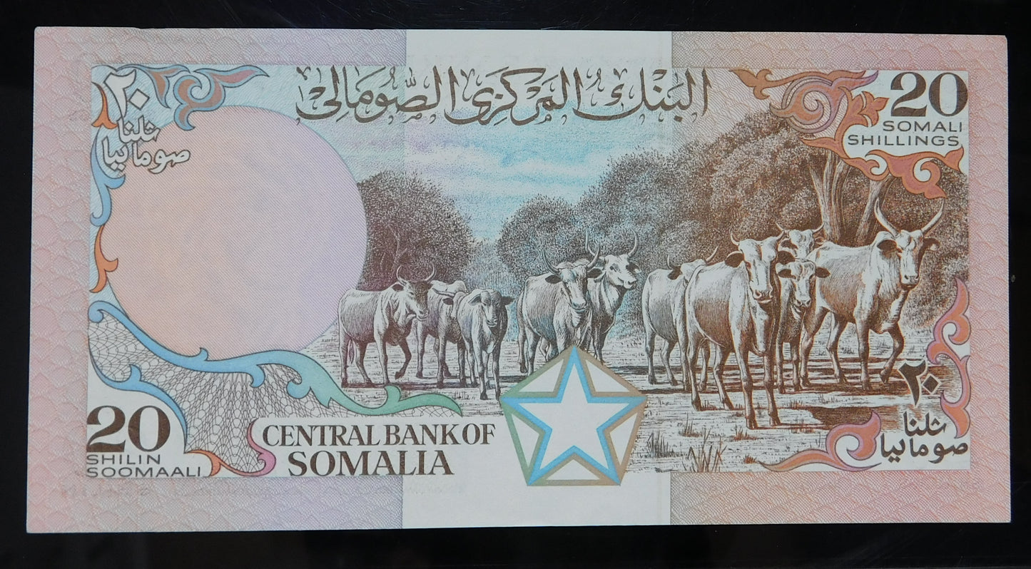 20 Scellini