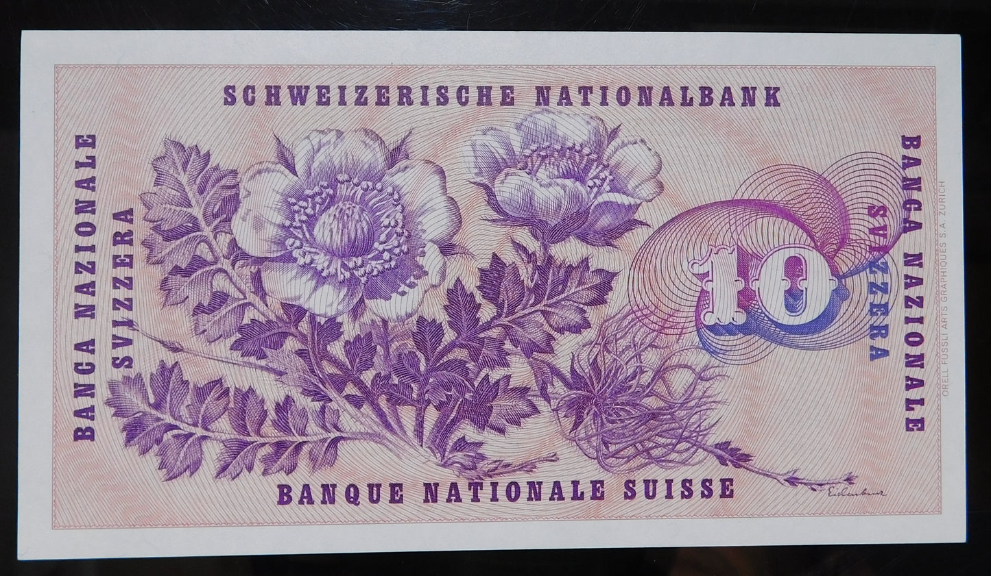 10 Franchi