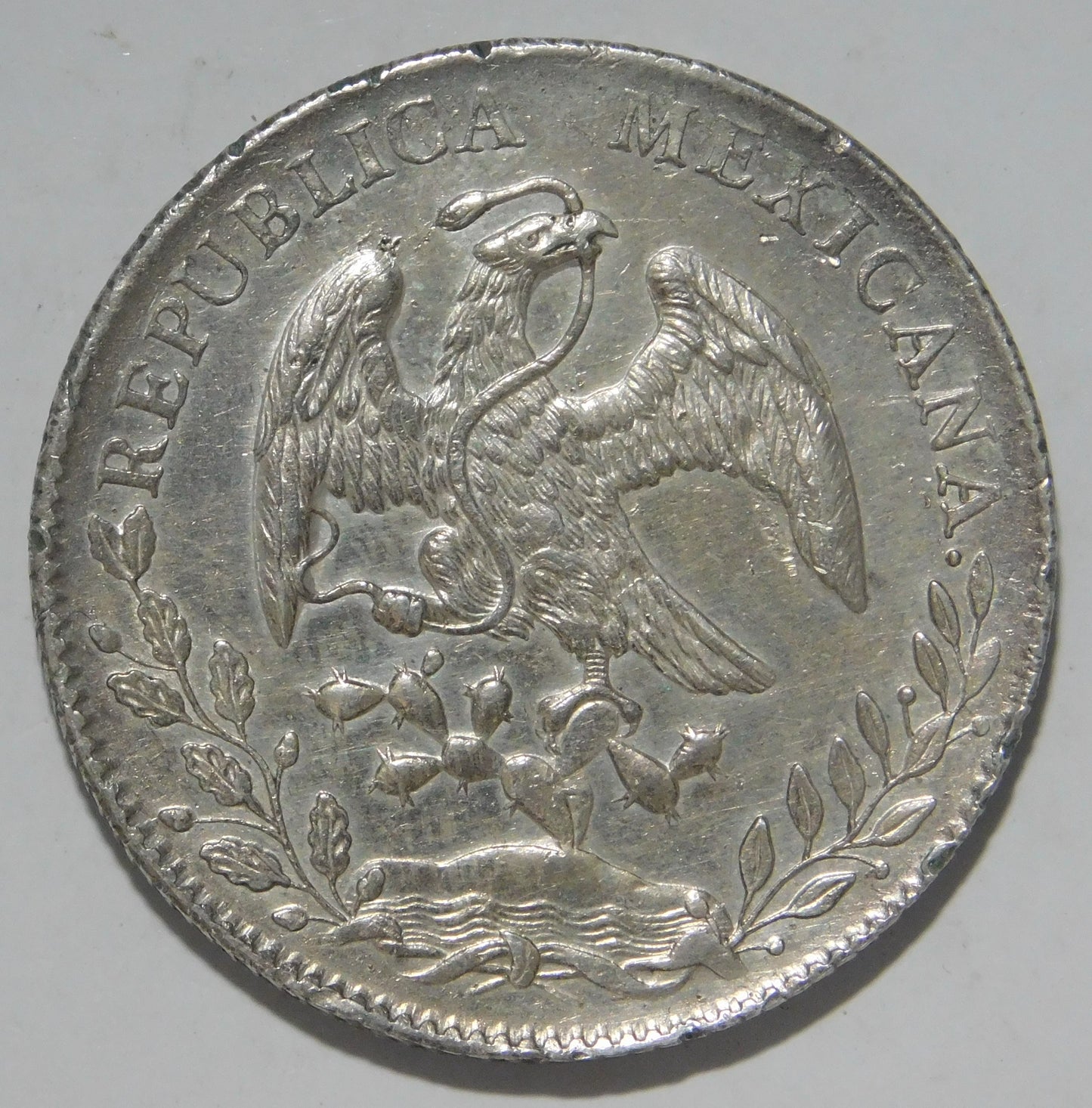8 Reals 1896