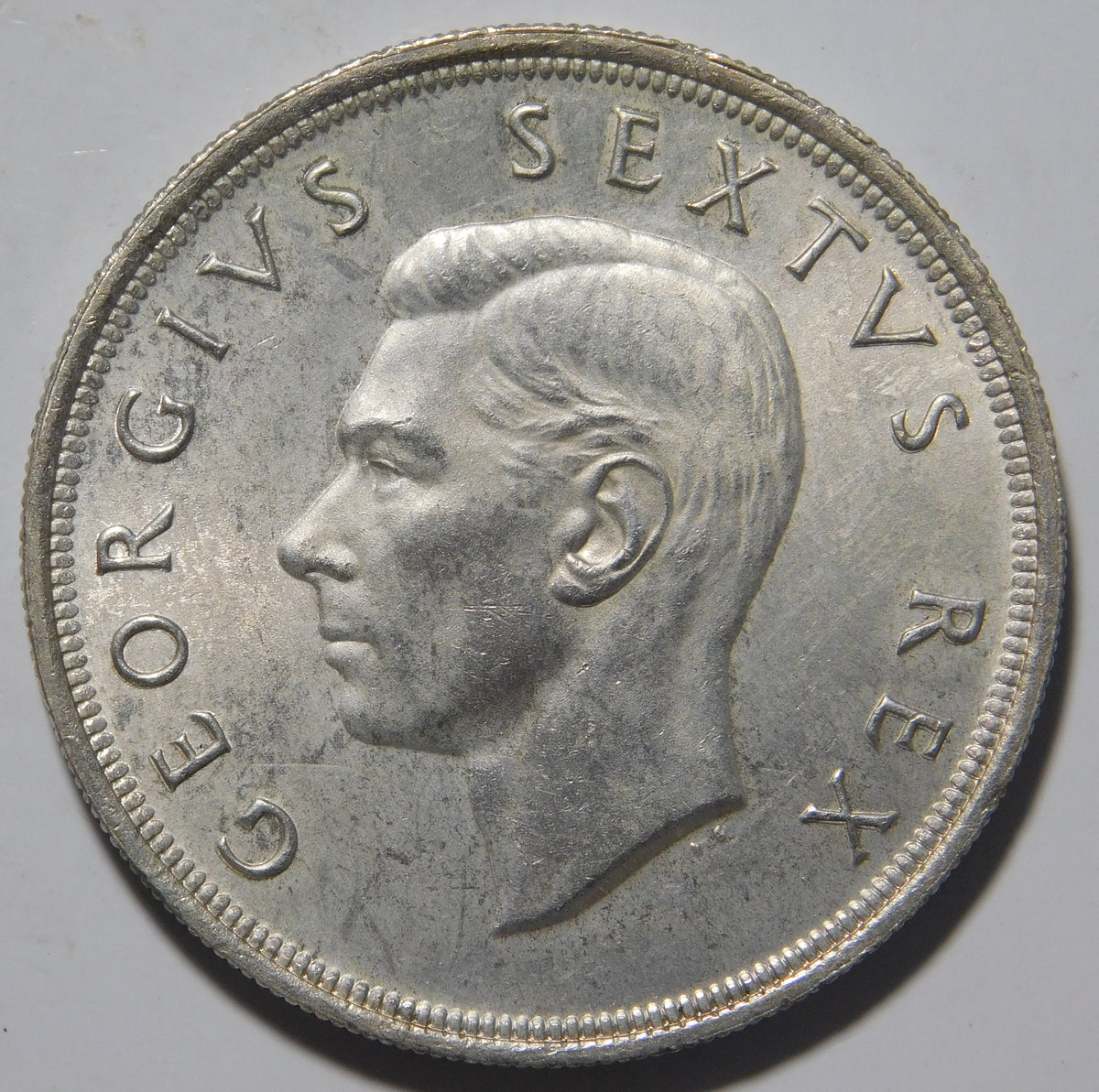 5 scellini 1952