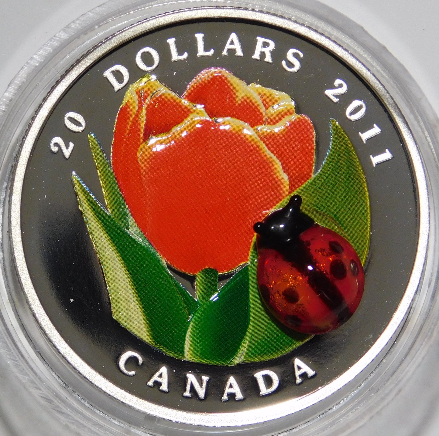 20 dollari 2011