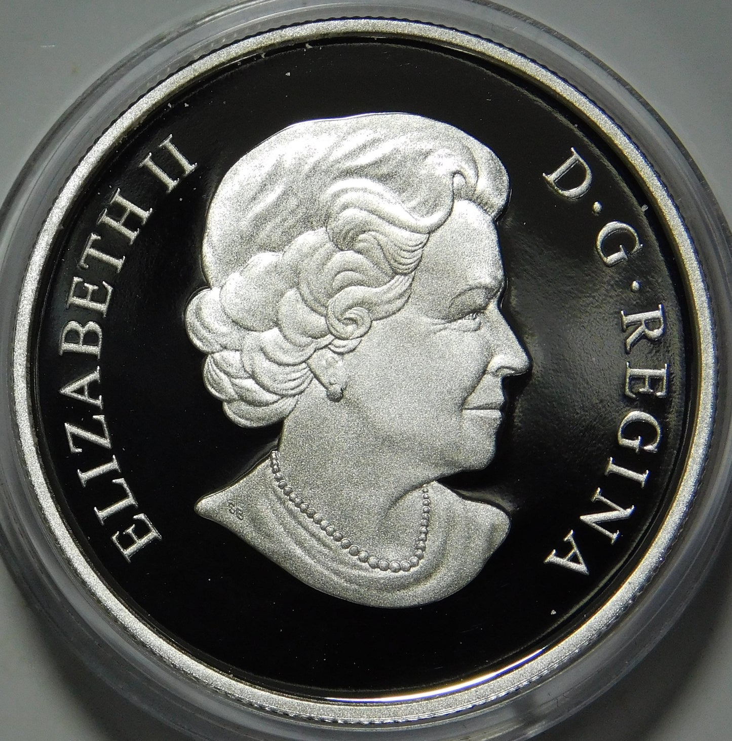 20 dollari 2013