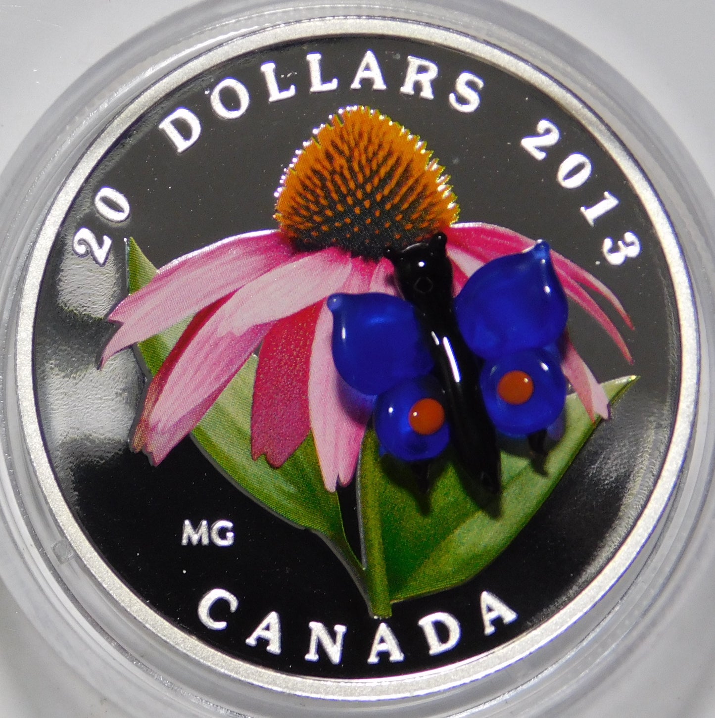 20 dollari 2013