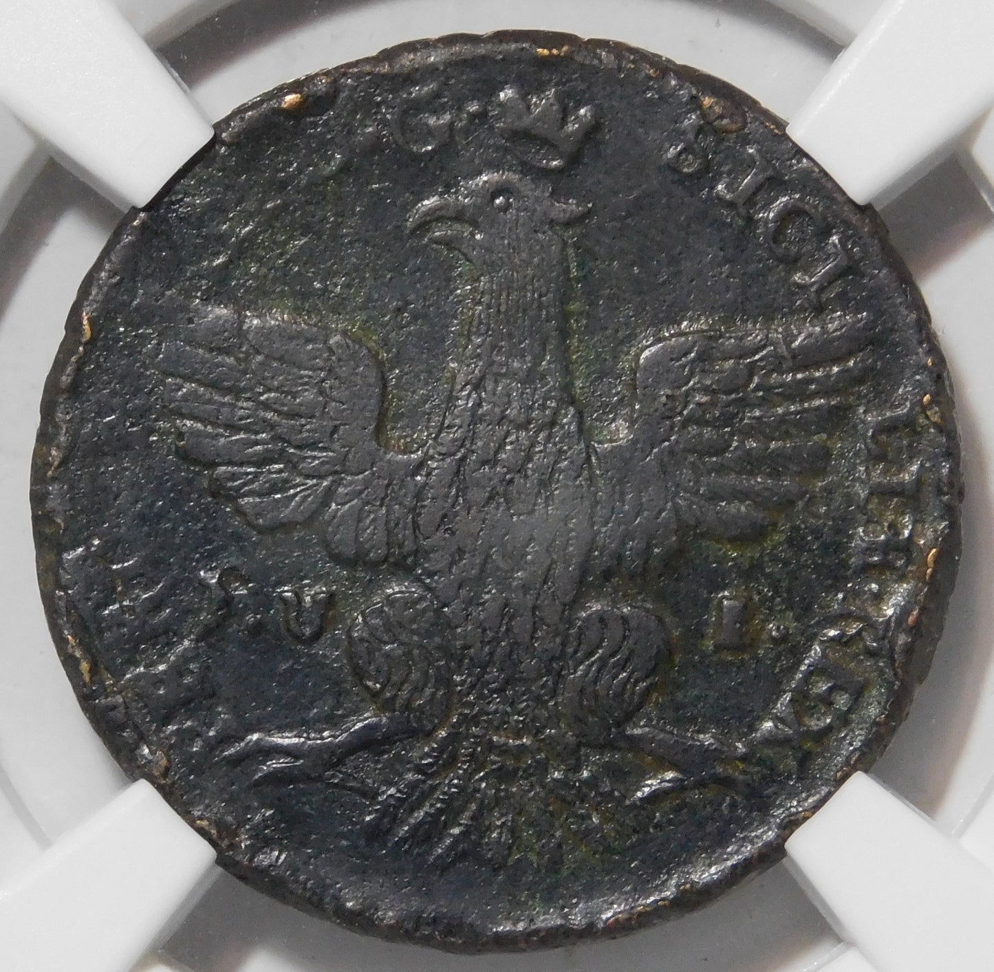 5 Grani 1801