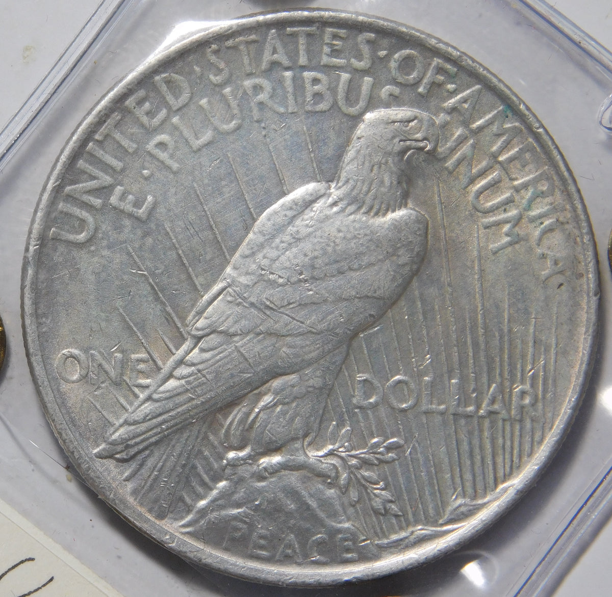 Dollaro 1923 P