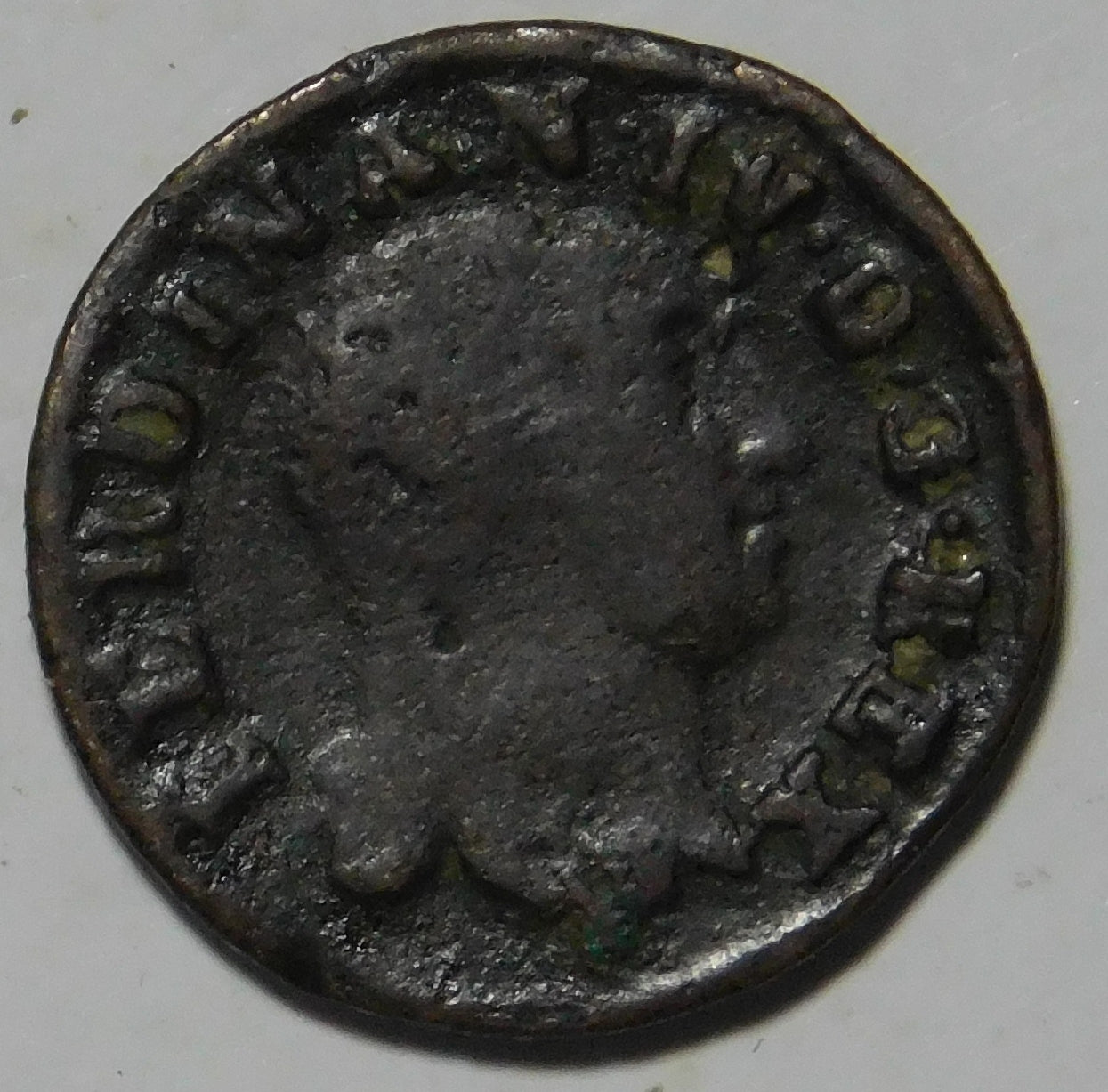 4 Cavalli 1804
