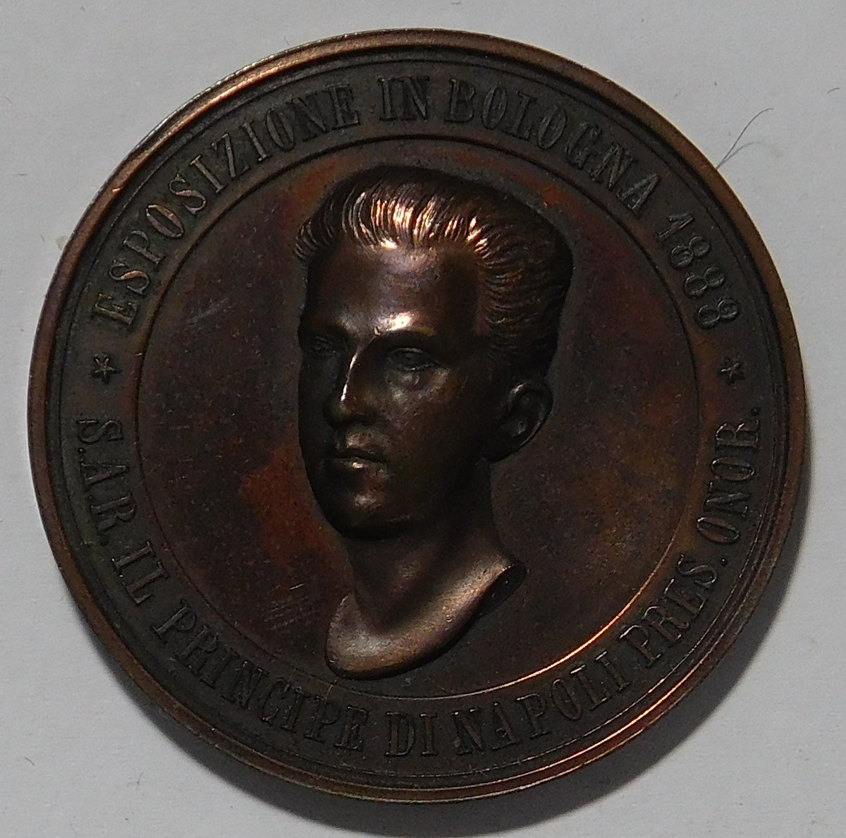Esposizione in Bologna 1888 medaglia