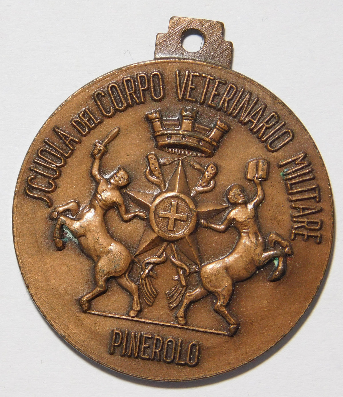 scuola del corpo veterinario militare Pinerolo