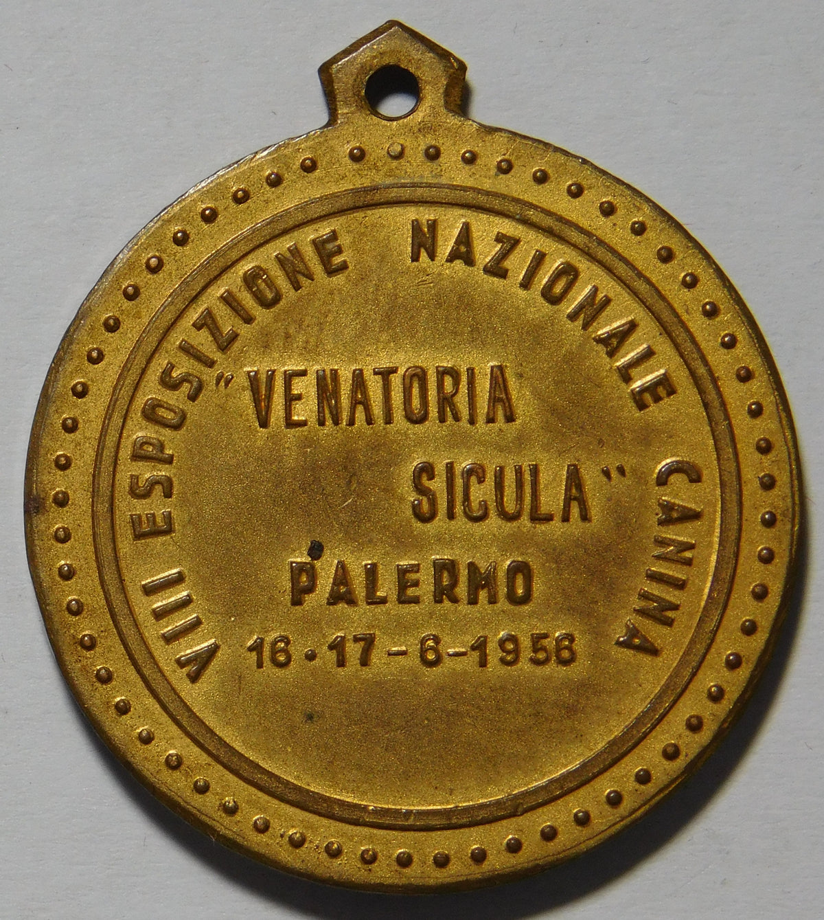 VIII esposizione nazionale canina 1956 Palermo medaglia