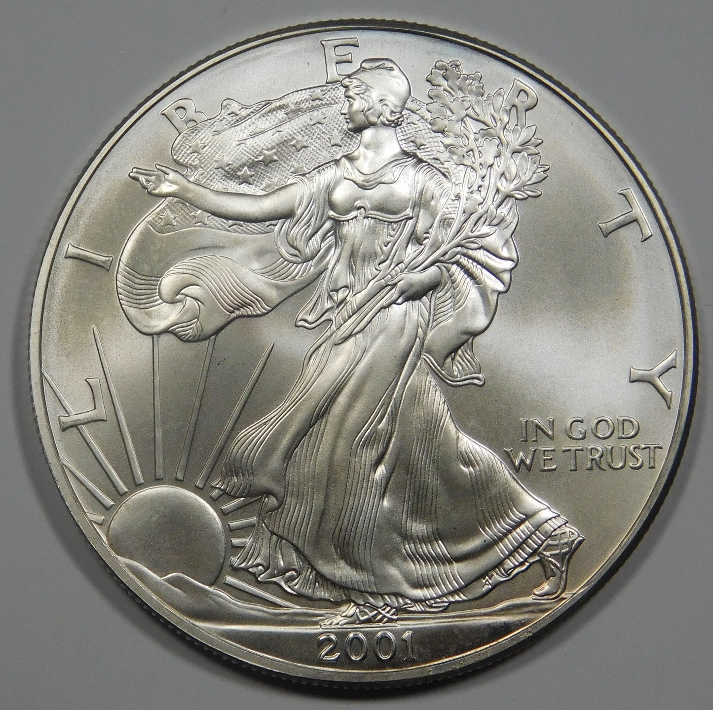 Dollaro Liberty 2001