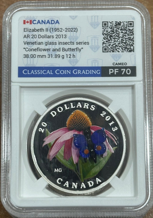 20 dollari 2013